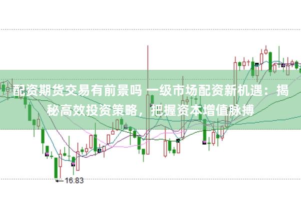 配资期货交易有前景吗 一级市场配资新机遇：揭秘高效投资策略，把握资本增值脉搏