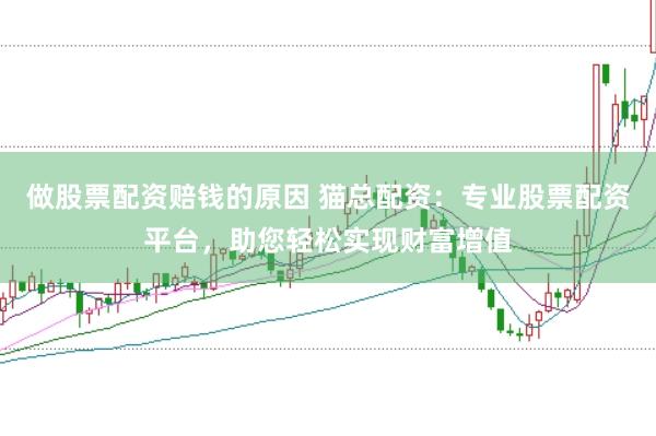 做股票配资赔钱的原因 猫总配资：专业股票配资平台，助您轻松实现财富增值