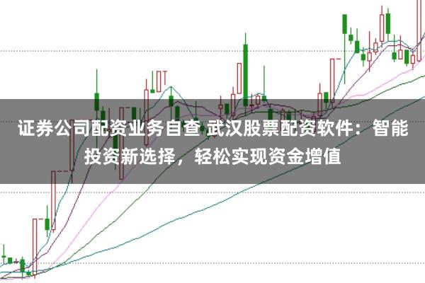 证券公司配资业务自查 武汉股票配资软件：智能投资新选择，轻松实现资金增值