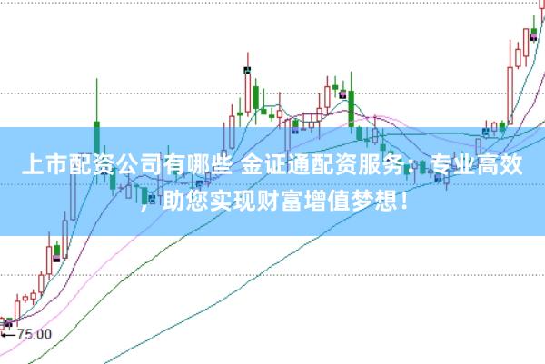 上市配资公司有哪些 金证通配资服务：专业高效，助您实现财富增值梦想！