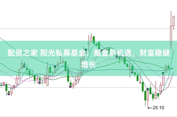 配资之家 阳光私募基金：掘金新机遇，财富稳健增长