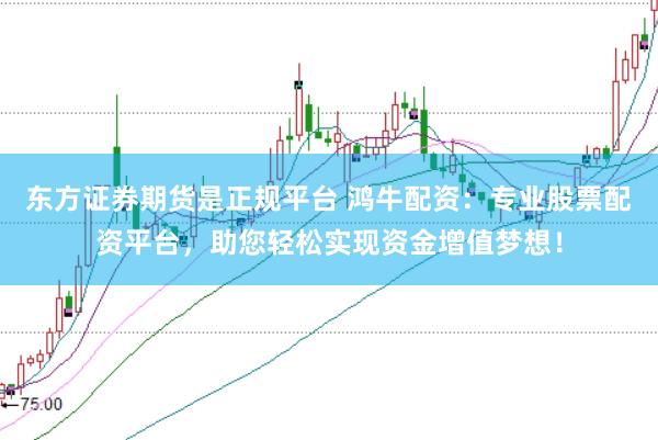 东方证券期货是正规平台 鸿牛配资：专业股票配资平台，助您轻松实现资金增值梦想！