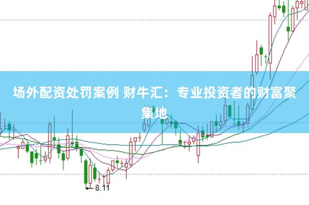 场外配资处罚案例 财牛汇：专业投资者的财富聚集地
