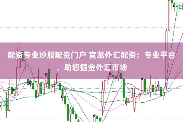 配资专业炒股配资门户 宜龙外汇配资：专业平台，助您掘金外汇市场
