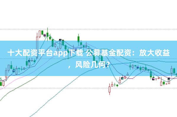 十大配资平台app下载 公募基金配资：放大收益，风险几何？