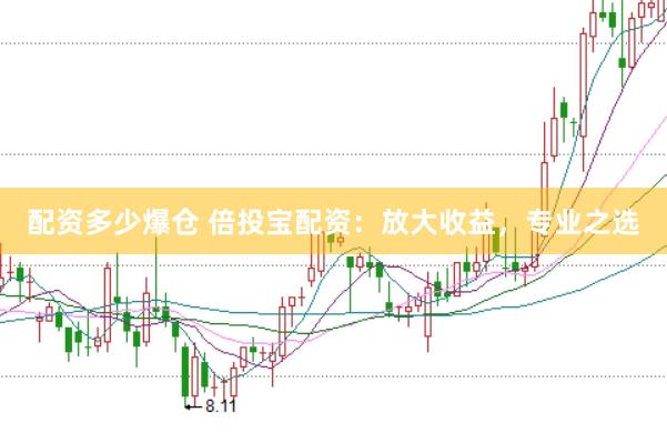 配资多少爆仓 倍投宝配资：放大收益，专业之选