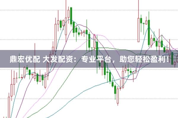 鼎宏优配 大发配资：专业平台，助您轻松盈利！
