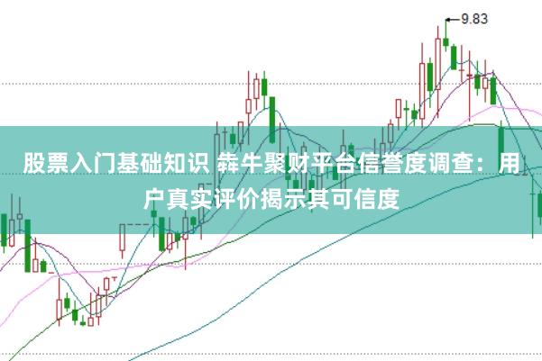 股票入门基础知识 犇牛聚财平台信誉度调查：用户真实评价揭示其可信度