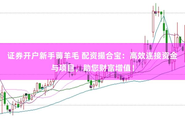 证券开户新手薅羊毛 配资撮合宝：高效连接资金与项目，助您财富增值！