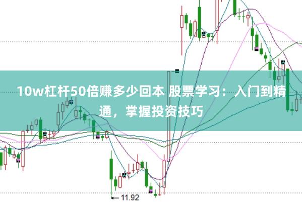 10w杠杆50倍赚多少回本 股票学习：入门到精通，掌握投资技巧