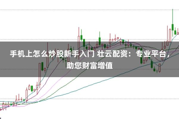 手机上怎么炒股新手入门 壮云配资:专业平台,助您财富增值